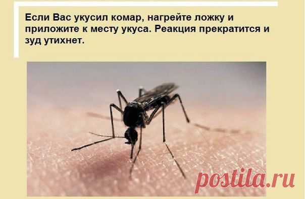 полезные советы))))) / Болталка / Разговоры на любые темы