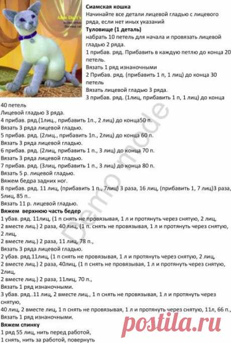 Сиамская кошка
