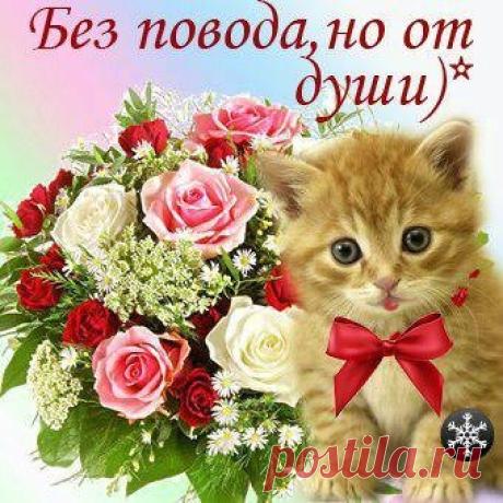 Профиль пользователя Людмила (Людмила)