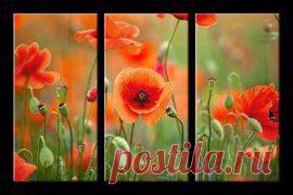 (14) Одноклассники