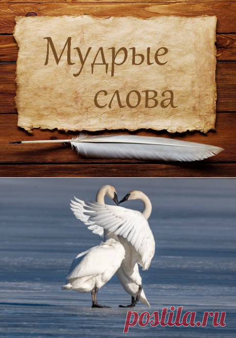 Мудрые слова которые нужно помнить каждый день - My izumrud