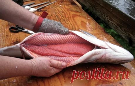 Вкусная красная рыбка. Солим как в СССР. Лучший сёмужный посол по всем правилам 👍 | Правильно, готовим! | Дзен