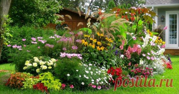 5 простых клумб, которые можно посадить прямо сейчас Возвращаясь на дачу весной, не знаешь, за что браться. Глаза разбегаются, а ноги в резиновых сапогах разъезжаются. Спешишь объять необъятное и переделать все работы за один день: привести в порядок дом и участок, обработать деревья...