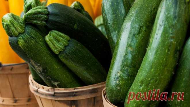 Вкусная запеканка из кабачков. Попробуйте приготовить, и она – вам точно понравятся, получается как у бабушки | Идеальный огород | Дзен