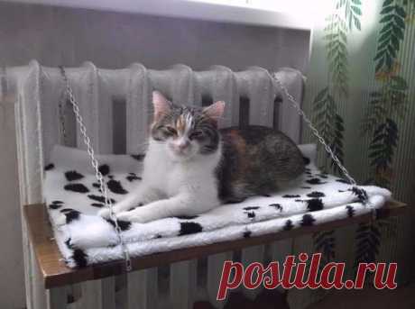 Лежанка для кошек своими руками: выкройки, пошаговая инструкция