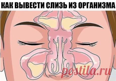 КАК ВЫВЕСТИ СЛИЗЬ ИЗ ОРГАНИЗМА И СТАТЬ ЗДОРОВЕЕ НА 10 ЛЕТ. 
Избыточное образование слизи в организме — причина многих заболеваний и воспалительных процессов. Когда мы съедаем вареную, обработанную пищу, образуется слизь. С годами она накапливается, и если тело не справляется со своевременным очищением, слизь начинает заполнять все полости нашего тела. В первую очередь страдают легкие, бронхи, жел