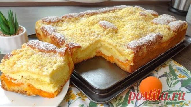 Haben Sie Aprikosen? Machen Sie diesen leckeren und saftigen Kuchen! Das beste Rezept 🥰