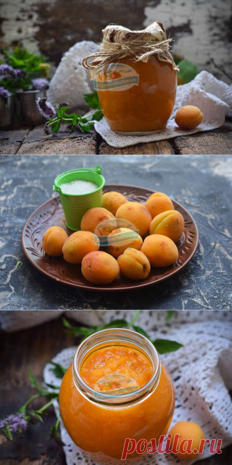 Вкусное варенье из абрикоса без косточки: рецепт с фото пошагово