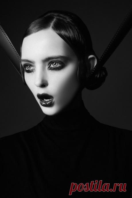 Банду квартирных воров, использовавших спецприборы для отпугивания животных, задержали в Москве