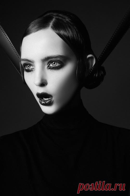 Банду квартирных воров, использовавших спецприборы для отпугивания животных, задержали в Москве