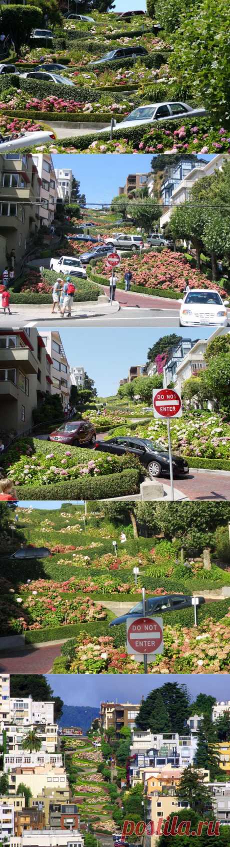 Самая извилистая улица в мире - Ломбард-стрит (Lombard Street), Сан-Франциско | Newpix.ru - позитивный интернет-журнал