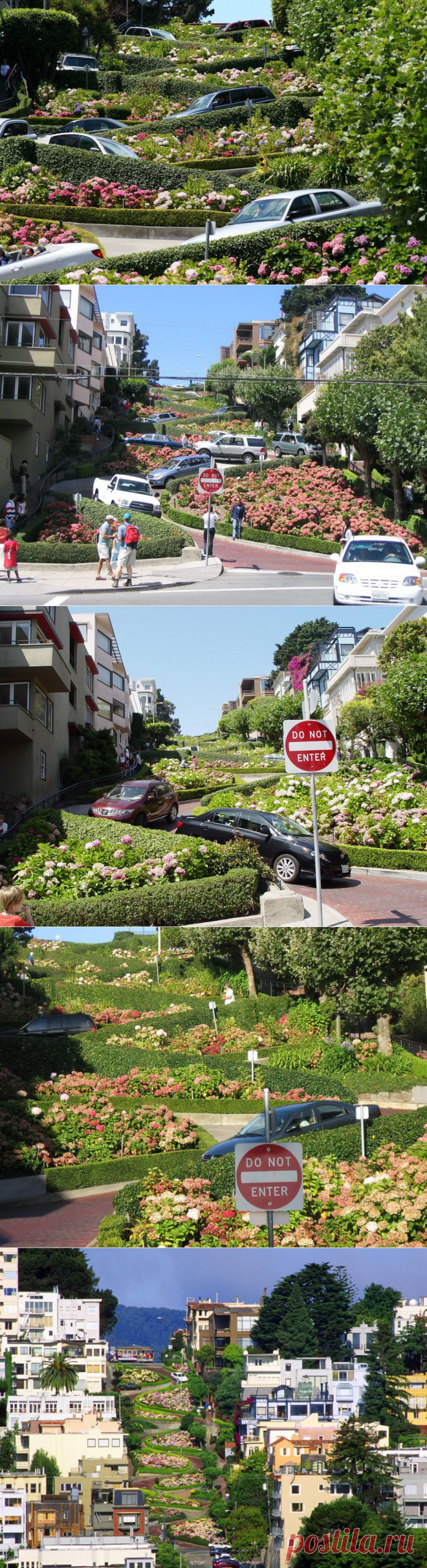Самая извилистая улица в мире - Ломбард-стрит (Lombard Street), Сан-Франциско | Newpix.ru - позитивный интернет-журнал