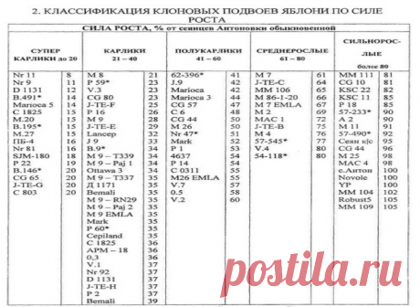 классификация подвоев