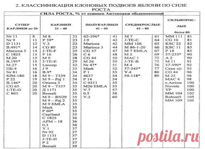 классификация подвоев