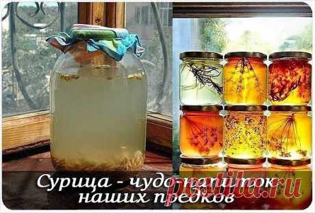 Сурица - необыкновенный напиток, который готовили наши предки - питный мёд