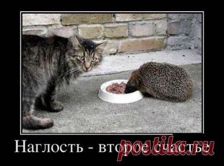 Везде обман (30 фото)