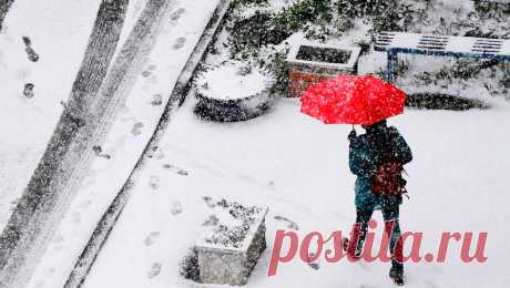 &quot;Конец недели будет сложным&quot;: циклон &quot;Ваня&quot; принесет в Москву потепление и влагу. На этой неделе в Москву придет циклон, который немецкие специалисты назвали &quot;Ваня&quot; (Vanja). В столице пройдут сильнейшие осадки, при этом повысится температура воздуха, а сам циклон будет &quot;полон влаги&quot;, предупредила ...