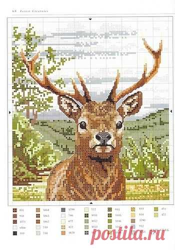 murzilka1019 - «CrossStitchAnimalCollectionbyJayneNetleyMayhews065.JPG» on Yandex | borduurpatronen