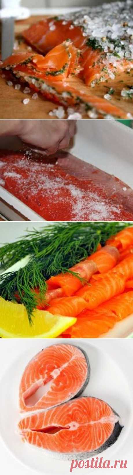 Как легко и просто засолить форель и семгу самостоятельно? Рецепты с фото.