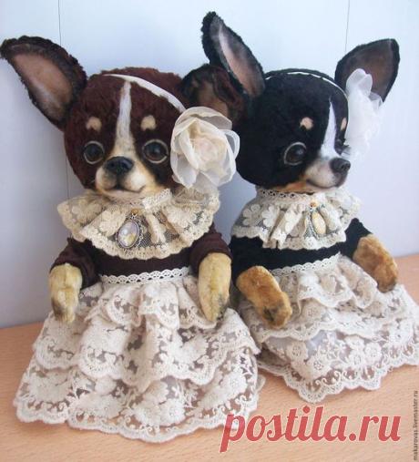 Купить Челси и Чинита - черный, чихуахуа, чихуа, собачка, собака игрушка, игрушка ручной работы
