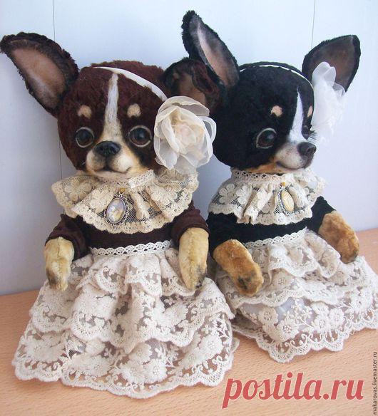 Купить Челси и Чинита - черный, чихуахуа, чихуа, собачка, собака игрушка, игрушка ручной работы
