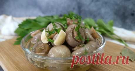 Блюда из шампиньонов. Повседневные и праздничные рецепты