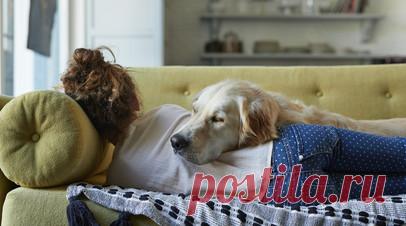 Сомнолог Царёва рассказала, какой сон можно считать здоровым. Сомнолог Елена Царёва рассказала, какой сон можно считать здоровым. По её словам, это сон от 6,5 до 10 часов. Читать далее