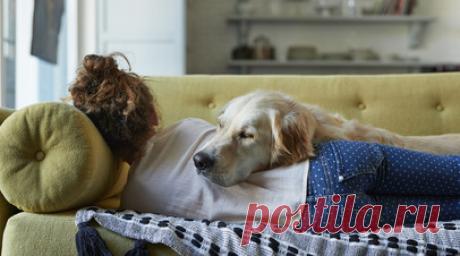 Сомнолог Царёва рассказала, какой сон можно считать здоровым. Сомнолог Елена Царёва рассказала, какой сон можно считать здоровым. По её словам, это сон от 6,5 до 10 часов. Читать далее