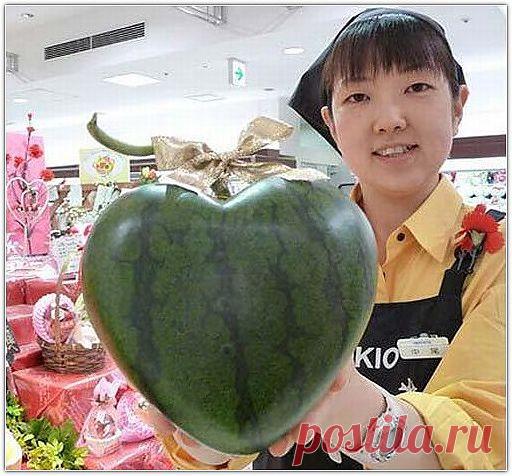 А это арбузик.