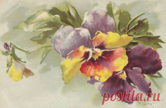 (300) Vintage Images | Catherine Klein postcards