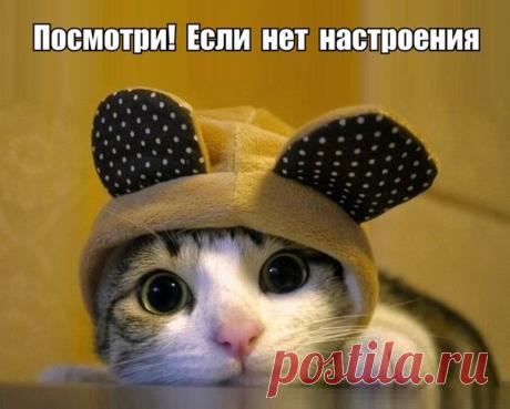 Не давайте советов посторонним Перед тем как читать нижний пост уберите подальше все что можно разбить:)))))
Электричка. Сидят ребёнок лет 10 с мамой. Мальчик увлеченно играет в игру на планшете. Заходит продавец книг и начинает р…