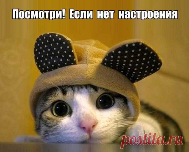 Не давайте советов посторонним Перед тем как читать нижний пост уберите подальше все что можно разбить:)))))

Электричка. Сидят ребёнок лет 10 с мамой. Мальчик увлеченно играет в игру на планшете. Заходит продавец книг и начинает р…