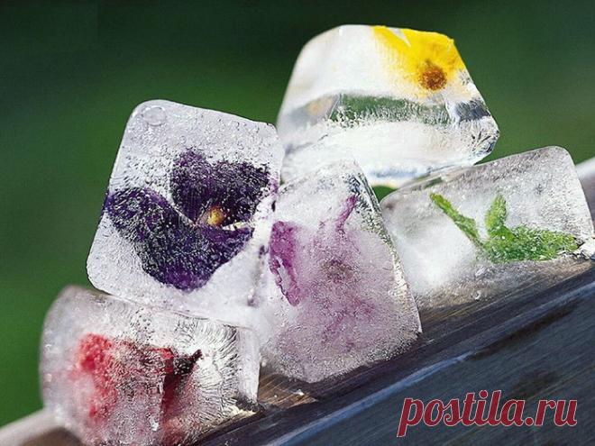 Эта простая процедура выравнивает кожу и замедляет старение Лед в домашней косметологии
 
Талая вода более биологически активна - при резком охлаждении кожа разглаживается, пропадают мелкие морщинки, сужаются поры, замедляется старение.


 

Для домашнего крио…