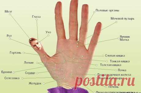Аюверда о головной боли