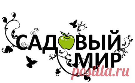 Что такое тригонелла
