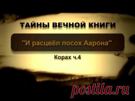 «И вот расцвел посох Аарона». Корах, передача 4