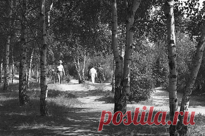 Изнасиловавшего школьницу в Москве подростка нашли спустя 50 лет
