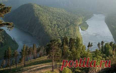 Светлана/49/ЗЕФИРКИ