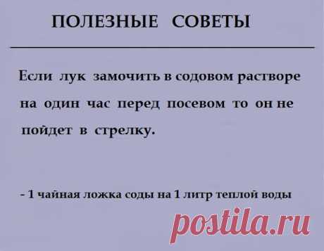 (4) Одноклассники