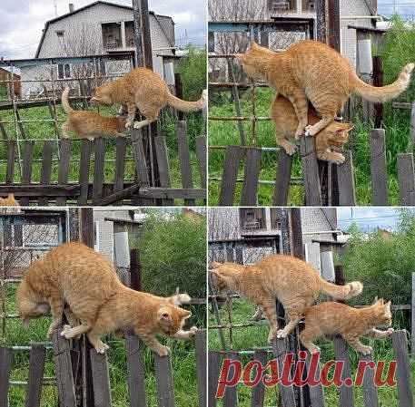 Пробки на дорогах