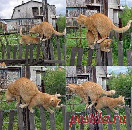 Пробки на дорогах