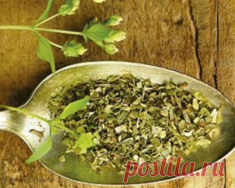 Отвары при сухом кашле