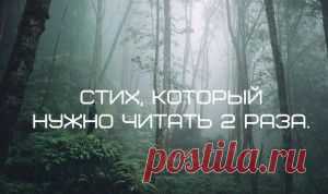Потрясающий стих! Обязательно прочитайте его два раза. Почему именно два? Прочитайте первый раз и узнаете.