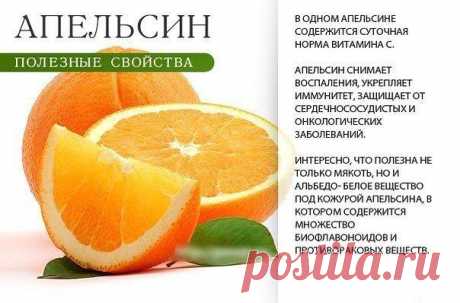Полезные свойства ягод и фруктов