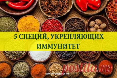 ЭТО ИНТЕРЕСНО!: 5 СПЕЦИЙ, УКРЕПЛЯЮЩИХ ИММУНИТЕТ
