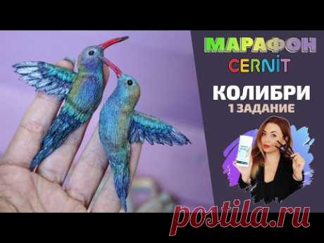 CERNIT Марафон. Первое задание | Лепим колибри