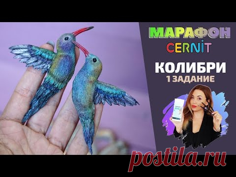 CERNIT Марафон. Первое задание | Лепим колибри
