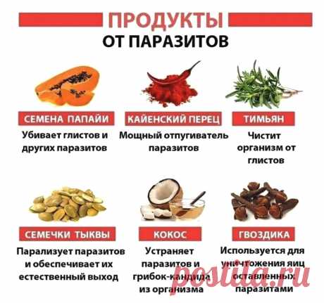 Продукты от паразитов