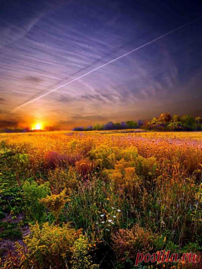 Фотограф Phil Koch