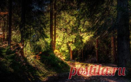 Новые фотографии рабочий стол природа.